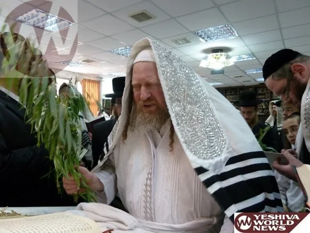 אמונה אברהם - פיטסבורג