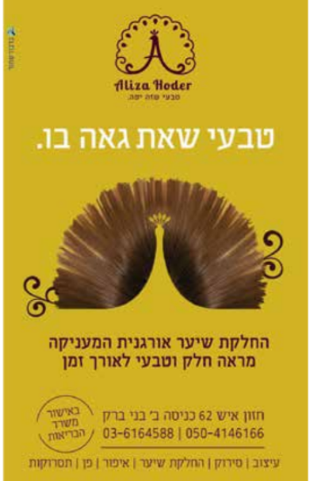 עליזה הדס