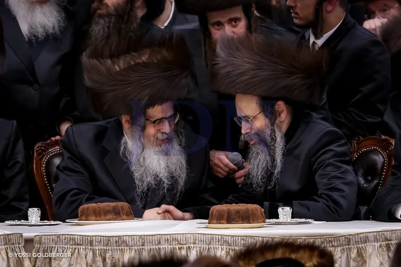Vyoel Moshe D'Satmar