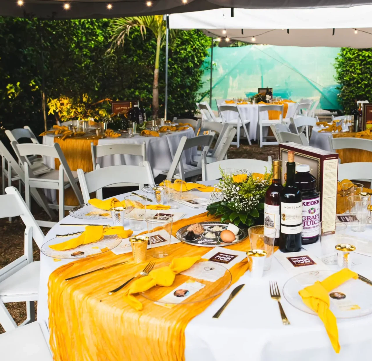 Chabad de Tamarindo
