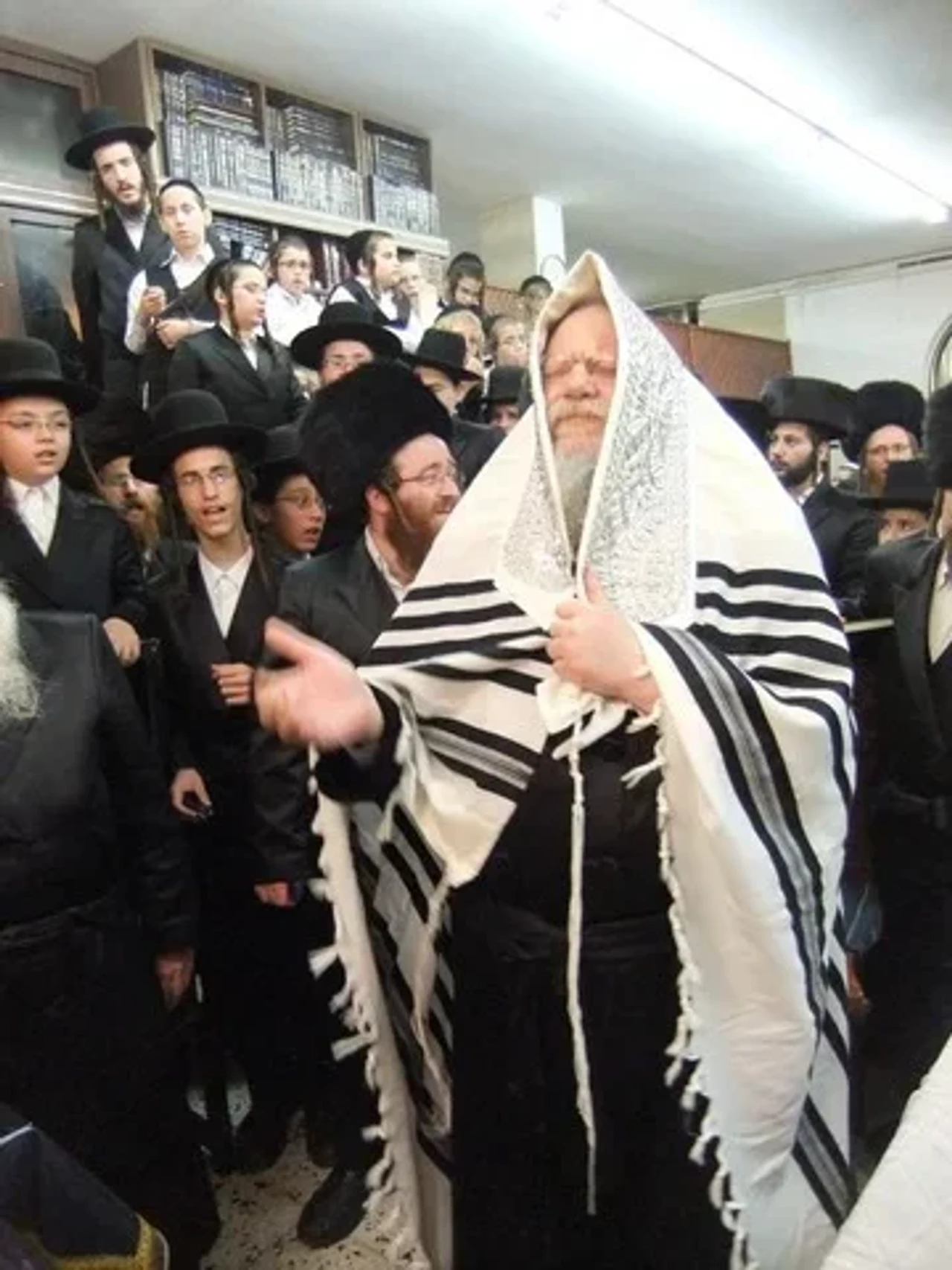 מודזיץ
