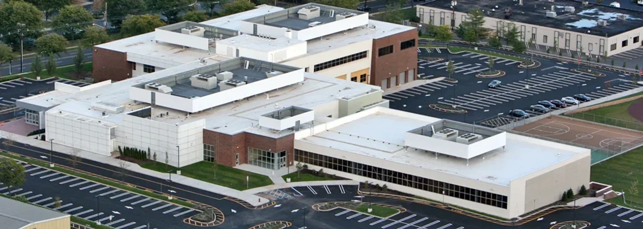 The Frisch School