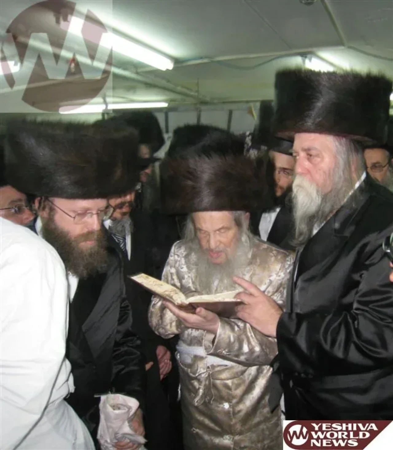 נדבורנה