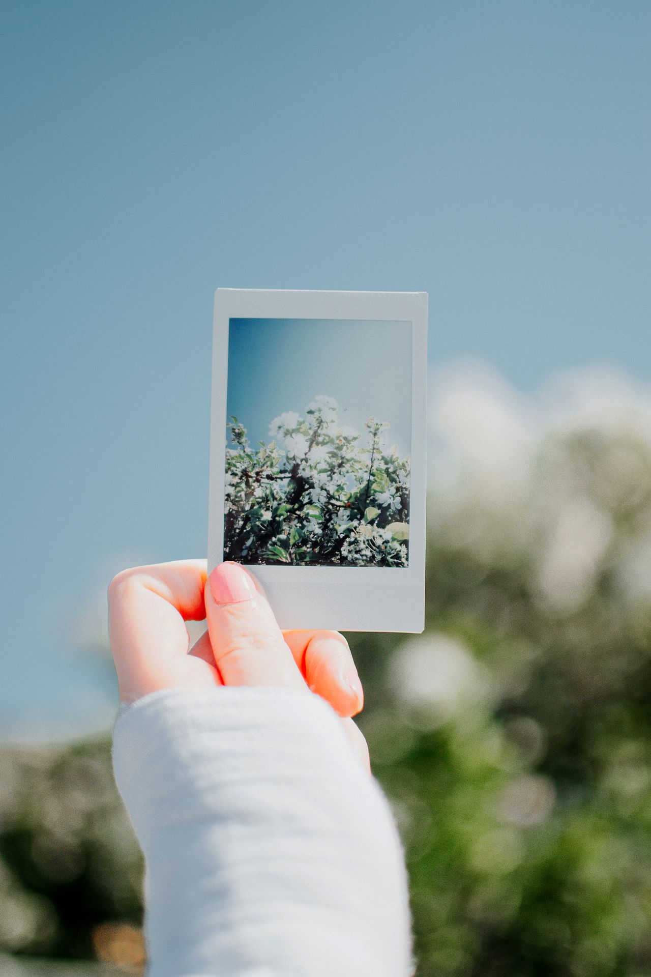 Photo Magnetix