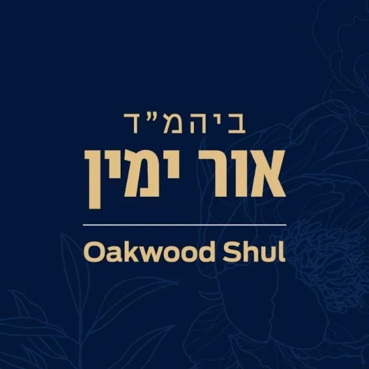 שבועת אור