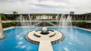 Suny Albany