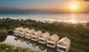 La braise du banian Mayakoba