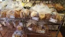 Sammy's New York Bagels