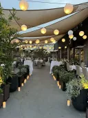 Shiloh's