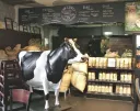 J.p. Licks