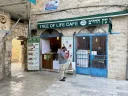 עץ החיים