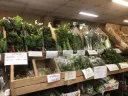 Shuk Ruth